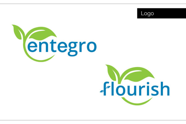 Agency Two Twelve - Internet Marketing Firm Northwest Iowa - Entegro logo Design - Best Advertising Northwest Iowa