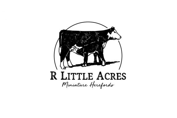 R Little Acres Miniature Herefords | Agency Two Twelve