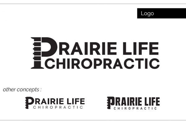 Prairie Life Chiropractic | Website Case Files | Agency Two Twelve